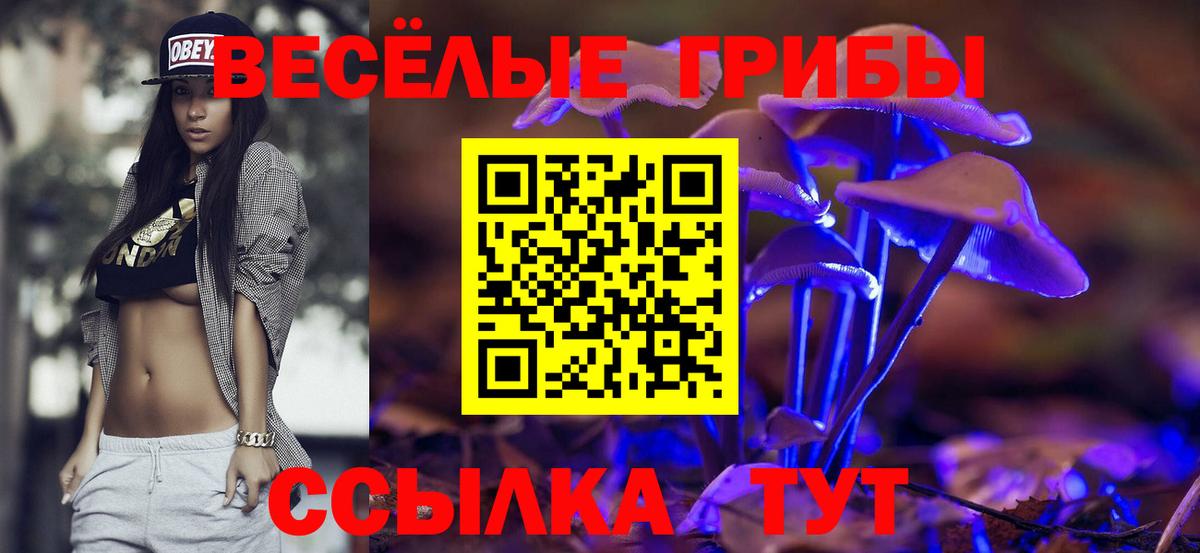 Котельники  Галлюциногенные грибы Psilocybe  Вход с VPN 