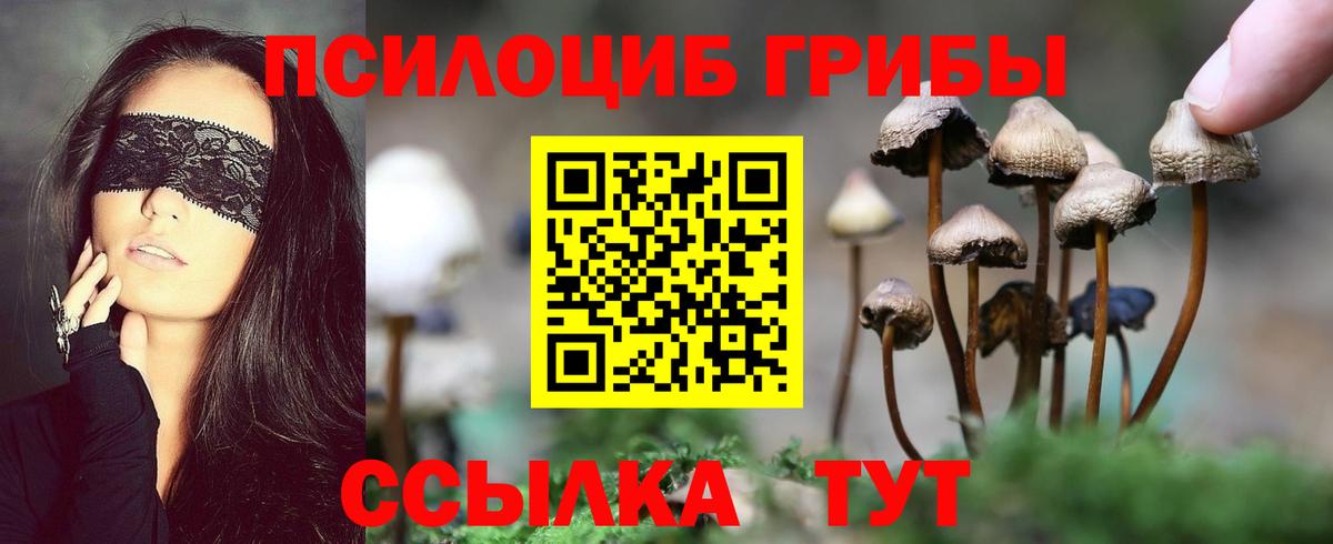 Псилоцибиновые грибы GOLDEN TEACHER Котельники